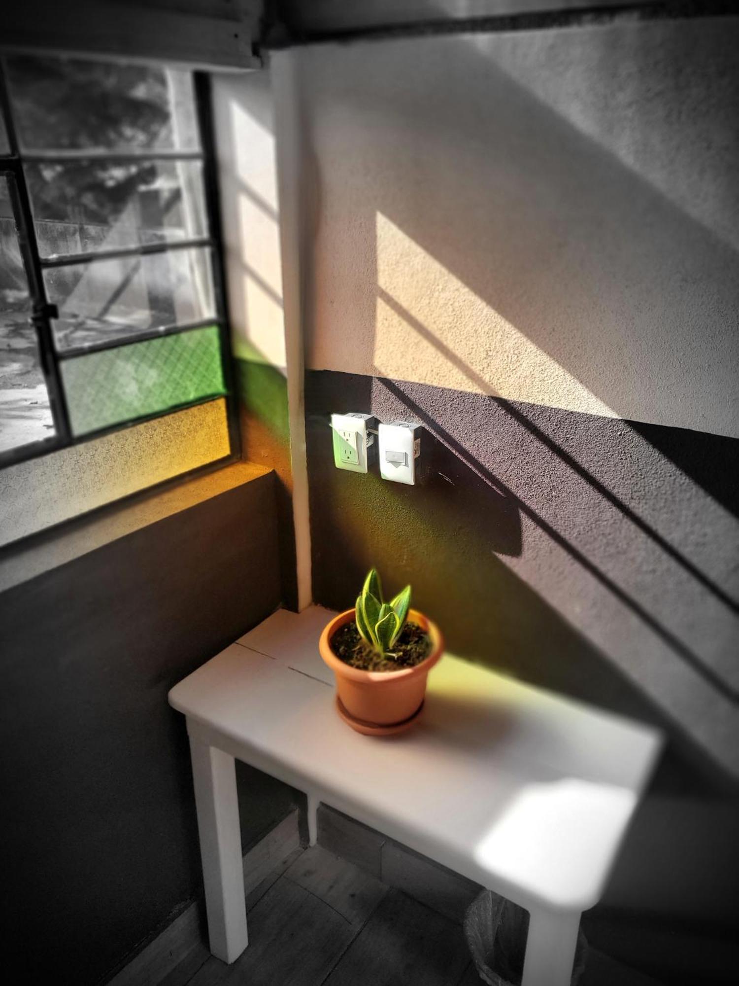 Hotel Art & Coffee Santa Cruz La Laguna Zimmer foto